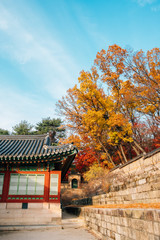 Changdeokgung Palace at autumn in Seoul, Korea