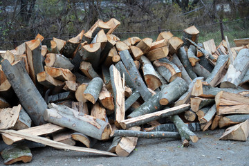 Firewood chopped and stacked to dry