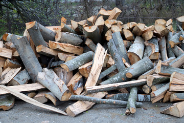 Firewood chopped and stacked to dry