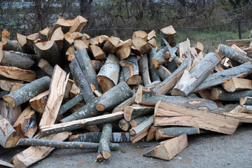 Freshly cutted chopped firewood
