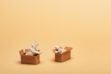 White toy hippopotamus and rhinoceros in cardboard boxes on yellow background, animal welfare concept