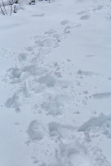 Fußabdrücke im Schnee