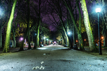 walking into a dark forest