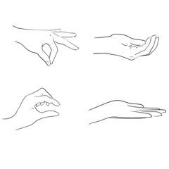 Fototapeta premium Hands gestures line art style hand drawn illustration.