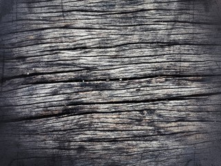 Obraz premium old wood texture background