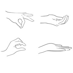 Hands gestures line art style hand drawn illustration.