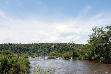 Iguazu River at Iguazu National Park in Misiones, Argentina