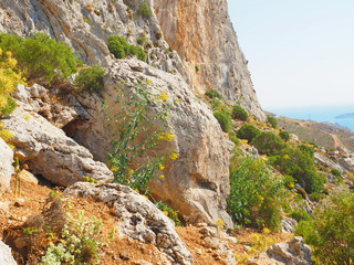 Wandern auf Kalymnos - Bergziege