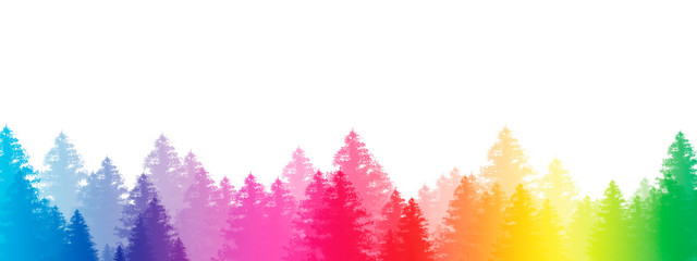 Rainbow Forest Illistration