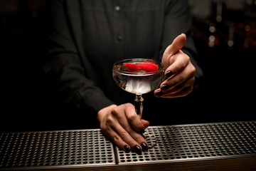 Female bartender serving transparent cocktail in the glass decorated with a red fluffy buds