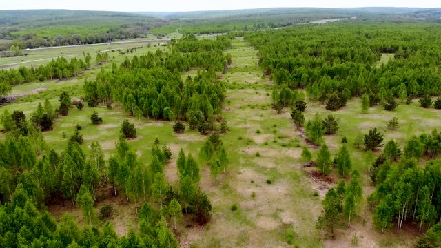 Aerial flying over deforestation in Russia. Significant strip of forest has been cut down for laying power lines - the problem of disforest, ecology and globalization. Aerial shot taken by drone