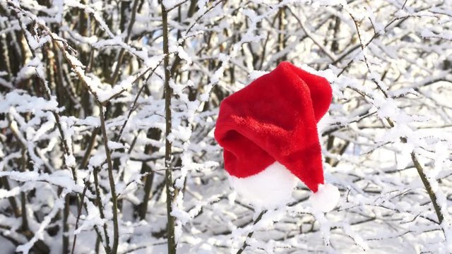 The Santa Claus hat hangs on the tree in the winter forest 4K