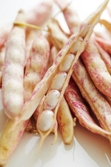 Red speckled white kidney bean