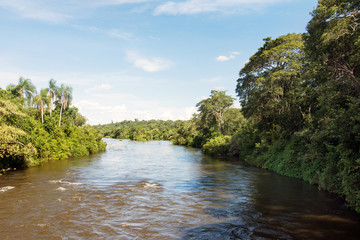 Fototapeta na wymiar Iguazu River at Iguazu National Park in Misiones, Argentina