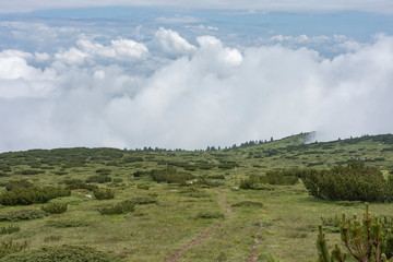 Highland meadow with grazing horses in the distance. Astonishing clouds on sky. Mountain scenery.