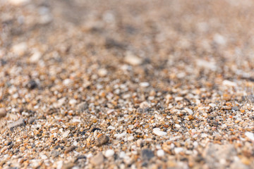 Fototapeta na wymiar 砂のマクロ