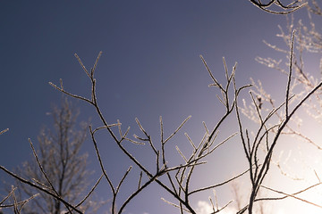 Frost morning amazing scenery in Kamikochi, beautiful after sunrise over the mountain. Early winter season in mid-November is located in the Hida Mountains,the Northern Alps of the Japan Alps, Japan.