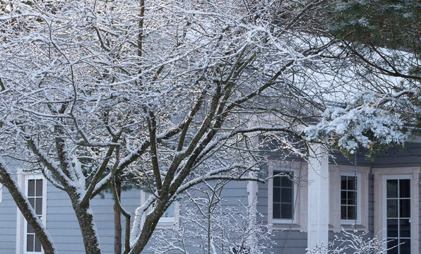 Snowy Front Entrance To Suburban Home. Winter In The Garden.