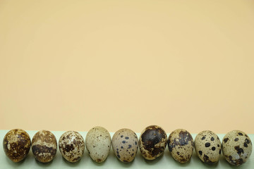 Row of spotted quail eggs on a mint color ribbon. The objects at the bottom of the image. There is...