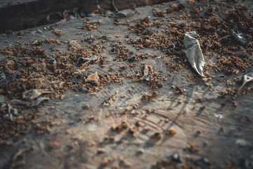 Dirty wooden texture background with sunlight