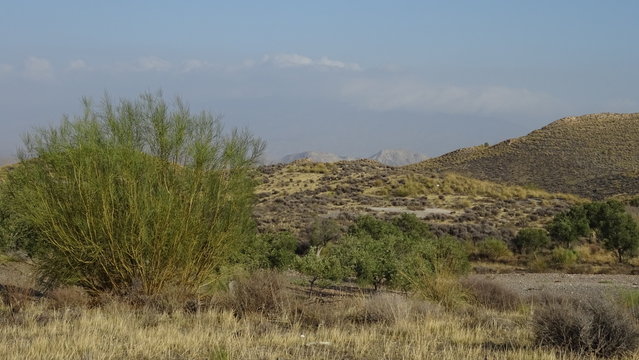 berge bei calar alto