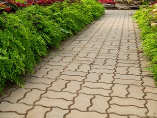 Brick walkway in the garden.  Both sides adorned with trees.