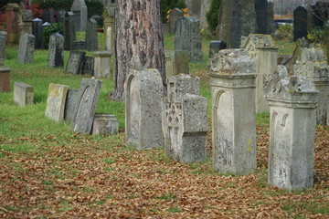 Historische jüdische Grabsteine auf dem Edenkobener Friedhof