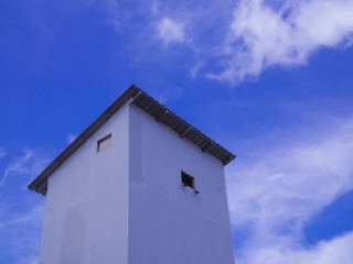 Fototapeta na wymiar Bird nest swallow. Cecropis daurica. Architecture of Swallow / Swift Bird House.