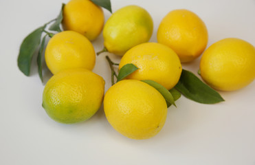 juicy lemons on a branch with leaves on a white background. Organic citrus fruits for a healthy diet. Tropical fruit. Close-up.