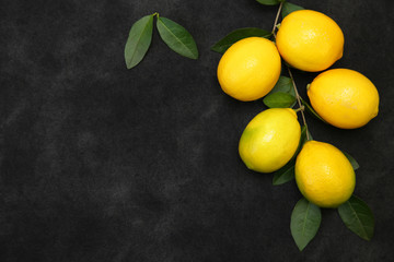 Juicy lemons on a branch with leaves on a black background. Organic fruits for a healthy diet. With copy space. Flat lay. Top view.