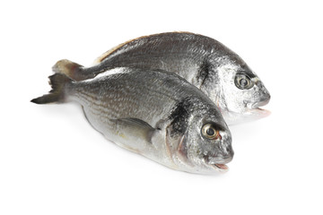 Fresh raw dorada fish isolated on white