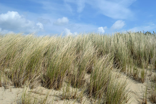 D&uuml;nen-Background