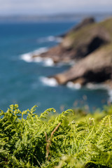 View of the waves crashing on a cliff covered by grass