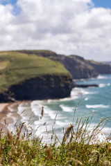 View of the coast covered by grass