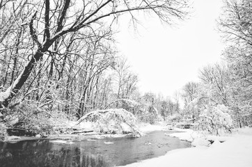 A fresh winter snowfall in Marott Park in Indianapolis, Indiana.