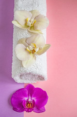 Fototapeta na wymiar Beautiful orchids on a WHITE Spa towel on a two-tone background