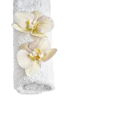 Obraz na płótnie Canvas Beautiful orchids on a white Spa towel. Isolated on white background