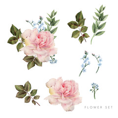 Roses. Flowers and leaves, can be used as greeting card, invitation card for wedding, birthday and other holiday and  summer background. Bouquet of flowers, watercolor illustration