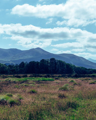 Beautiful sunny day driving through the ring of kerry