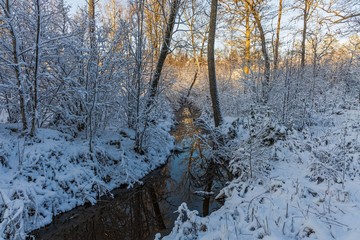 Gorgeous view of winter nature landscape. Stream in winter forest. Beautiful nature landscape. Trees reflection on water. Winter time in Sweden.