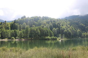 BORCKA KARAG&Ouml;L ARTVİN 