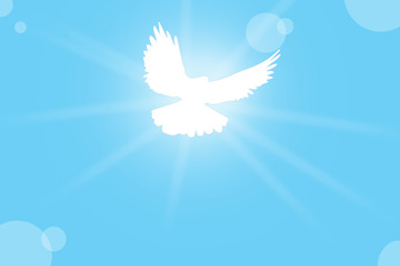 dove background  sky  blue background  dove illustration