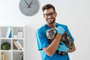 handsome veterinarian smiling at camera while holding tabby scottish straight cat on hands
