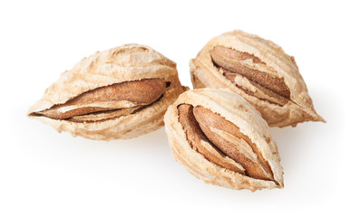 Almonds isolated on white background with clipping path