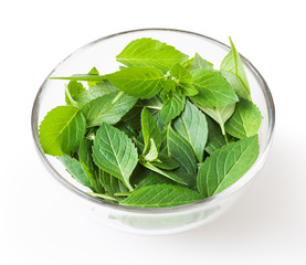 Fresh mint leaves in glass bowl isolated on white background with clipping path