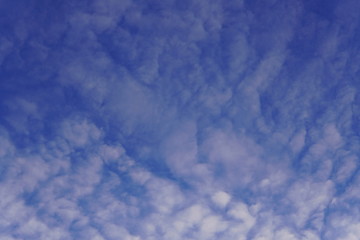Cielo