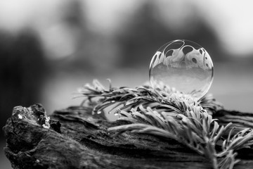 Gefrorene Seifenblasen