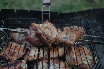 meat on grill