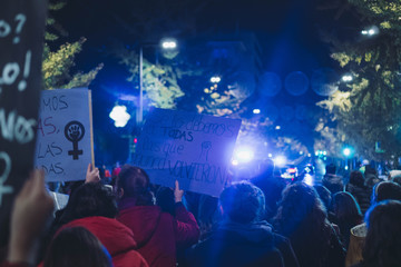 Fototapeta na wymiar La manifestación 2