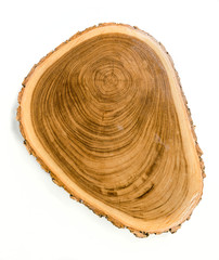 Circular wood slab with bark